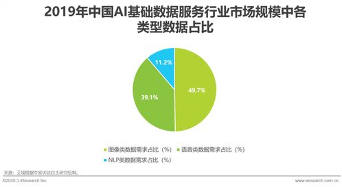 2020年中國AI基礎數據服務行業發展報告 數據處理服務